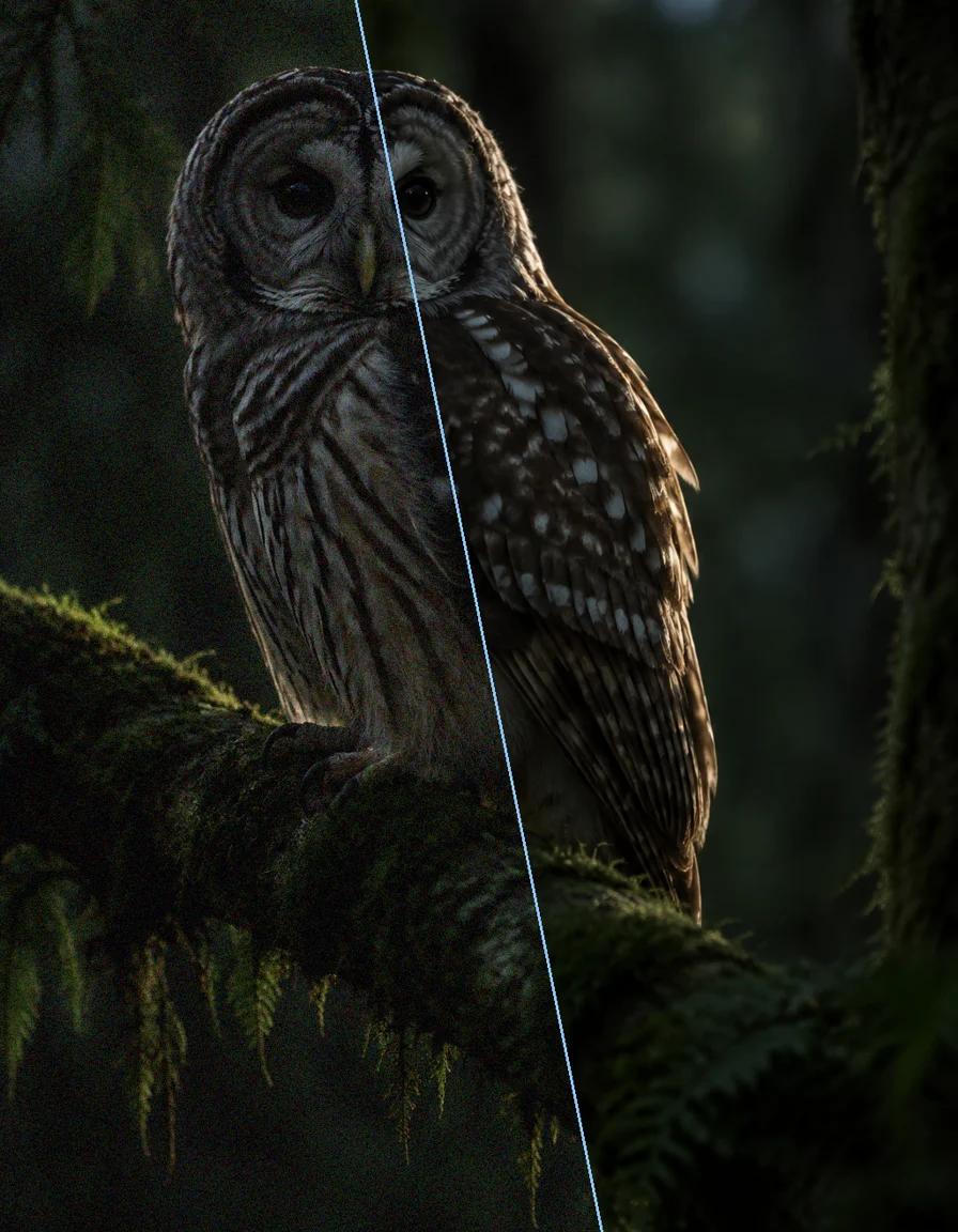 AI Image Denoiser